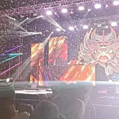 On stage at a massive Holi music festival. The energy of thousands of people celebrating with color and music is absolutely electric, and I love bringing the beats for it.