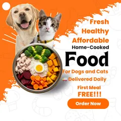 Here you can see exactly what I offer: fresh, healthy, and affordable home-cooked food for both dogs and cats, delivered daily. This graphic shows a happy dog and cat next to a balanced meal, with a clear offer for your first meal free.
