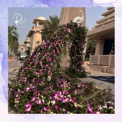 A majestic peacock installation for a welcome lunch. The peacock's tail is a cascading arrangement of purple orchids and green foliage, creating a stunning and unique entrance piece.