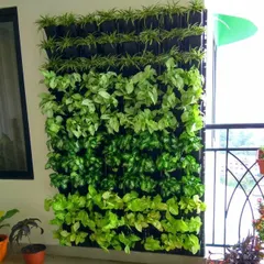 Don't have floor space? Let's use the walls. This full-sized vertical garden on a balcony is a perfect example of how I can create a dense, green backdrop that purifies the air and adds incredible beauty without taking up valuable room.