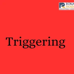 Triggering is the most critical action in shooting. We focus on smooth, controlled trigger manipulation that doesn't disturb the aim, which is the key to turning a perfect aim into a perfect shot.