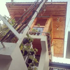 My studio is a place of inspiration. The wooden cabin exterior, surrounded by plants and even incorporating a dead tree into its structure, reflects my belief in blending the built with the natural.