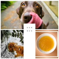 Beat the summer heat with our freshly brewed bone broth. Prepared on order, it's a simple and healthy way to keep your pet hydrated and happy.