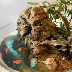 This is one of my favorite creations, a miniature waterfall garden in a dish. It combines a tiny, real waterfall, carefully selected plants, and a resin sea to create a complete, living waterscape. It’s a perfect way to bring the sound and sight of moving water into even the smallest indoor or balcony space.
