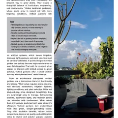 Our founder, Amrita Maitra, was featured in Architect and Interiors India discussing her expertise in sustainable vertical gardens. This image from the article shows a rooftop terrace where lush greenery creates a private oasis in a dense urban environment.