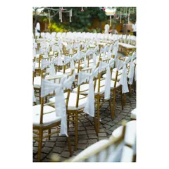 Elegant gold Tiffany chairs are decorated with simple white bows for this outdoor ceremony. This small detail adds a touch of sophistication and unifies the guest seating area.