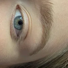 A close-up of a natural-looking brow lamination. The key is to create a soft, lifted effect without making the hairs look stiff or unnatural.