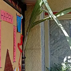 A real sugarcane stalk adds an authentic touch to our Sankranti decorations.