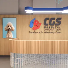 The reception for CGS Hospital, a high-end veterinary care and grooming space. The design uses warm wood tones, playful colors, and a curved desk to create a welcoming and calming environment for pets and their parents.