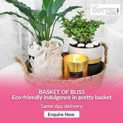 My "Basket of Bliss" is for those who appreciate calm and nature. This eco-friendly hamper features live plants, a hand-poured scented candle, and other wellness items, all arranged in a beautiful, reusable jute basket.
