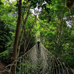 Challenge your spirit of adventure on our rope bridge, suspended high amidst the dense forest canopy. It's a thrilling walk you won't forget.