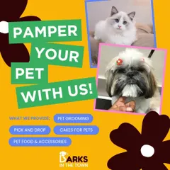 This graphic gives a quick overview of the pampering services I offer. It highlights pet grooming, cakes, food, and our convenient pick-up and drop-off service for a complete care package.