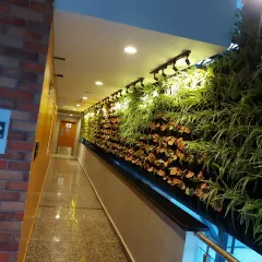 A long indoor corridor is transformed by a floor-to-ceiling living wall. Track lighting highlights the different textures and colors of the plants, turning a simple hallway into a stunning feature.