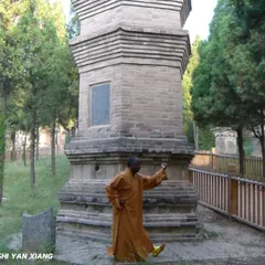 In the Pagoda Forest at the Shaolin Monastery, a place of deep historical significance. Each pagoda holds the relics of past masters. Here, we cultivate the heart and nourish the spirit.