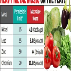 This table shows the alarming levels of heavy metals like lead and nickel found in common vegetables. By growing your own, you take control of what goes on your plate, ensuring your food is safe and chemical-free.