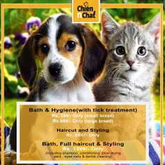 A quick look at some of our popular grooming packages and prices, including bath, hygiene, haircut, and styling.
