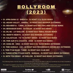 The tracklist for 'Bollyroom 2023'. This album featured 13 of my best remixes and reworks from the year, covering genres from deep house to progressive.