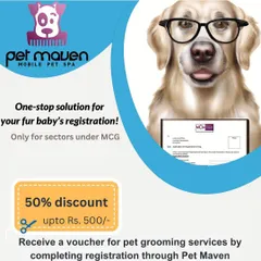 As a thank you for being a responsible pet parent, we offer a special bonus. Once your fur baby's MCG registration is complete, you'll receive a voucher for 50% off our mobile pet grooming services.