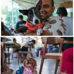A snapshot of the lively and loving atmosphere at the fundraiser, with happy dogs enjoying the attention and company.
