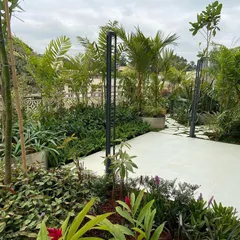 This view highlights the layered planting approach we use in our terrace garden designs. Taller palms and bamboo create a privacy screen while lower shrubs and ground cover fill out the space, creating a lush, multi-dimensional garden.