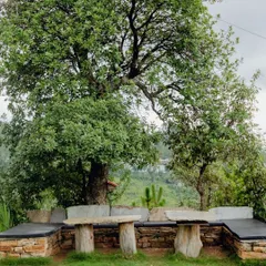 Our outdoor seating area, crafted from local stone and wood, is a popular spot for group discussions, morning tea, or simply soaking in the peaceful atmosphere.