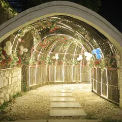 Our bamboo tunnel entrance decorated with balloons and flowers for a celebration. I can customize this space to match the theme of your event.