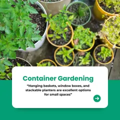Container gardening is incredibly versatile for small spaces. As shown here, we can use hanging baskets, window boxes, and a variety of planters to bring life to patios, windowsills, and balconies.