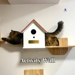 Our custom-built activity wall is a feline paradise. It encourages natural climbing and exploring behaviors, keeping our cat guests physically active and mentally stimulated.