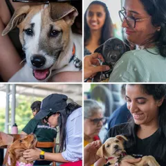 The joy is palpable in this collage from the adoption event. Every pet and person here is sharing a moment of pure happiness.