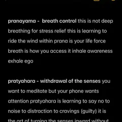 An explanation of Pranayama (breath control) and Pratyahara (withdrawal of the senses). Pranayama is not just deep breathing; it is the art of riding the wind of your life force. Pratyahara is the crucial skill of turning the senses inward, without which the mind remains a restless tourist.