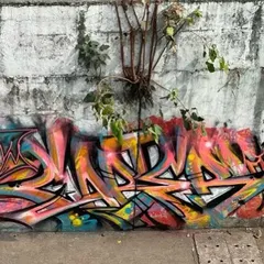 A closer shot of the 'rang birangi' piece. You can see the layers of color and the sharp, aggressive shapes that define this freestyle graffiti artwork.