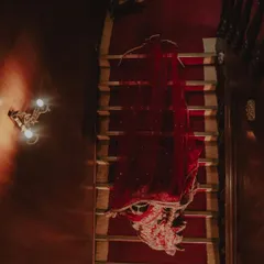 An artistic shot of the bride's stunning red lehenga, elegantly draped over a staircase. This highlights the beauty and grandeur of the wedding attire itself.