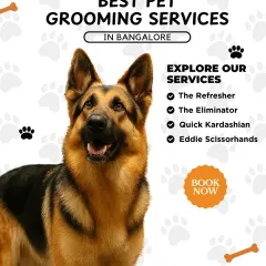 Explore my signature services, each designed with a special touch. From "The Eliminator" for shedding coats to "Eddie Scissorhands" for stylish cuts, I make grooming fun and effective.