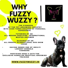 Why choose Fuzzy Wuzzy? With over three decades of family experience and tutoring from an internationally certified Master Groomer, I offer unparalleled expertise and a commitment to quality.