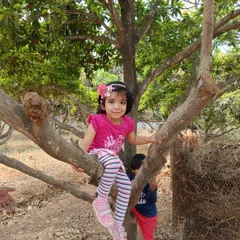 Adventure is climbing a tree for the very first time. We encourage safe, supervised risks that build confidence and gross motor skills during our outdoor excursions.
