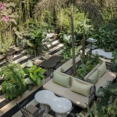An overhead view reveals the spatial story of the garden court, a series of interconnected seating areas nestled within the greenery. The design encourages slow, meandering experiences, with custom furniture and varied layouts offering different perspectives of the lush, biophilic interior.