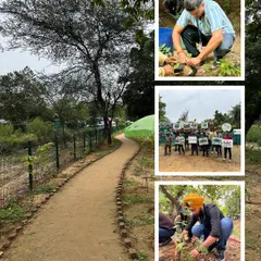 A collage showcasing the winding path at Aravali Creek alongside volunteers from Genpact planting saplings and holding signs for environmental action.