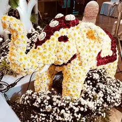 A showcase of our floral artistry: a custom elephant sculpture meticulously crafted from white and maroon chrysanthemums. This unique piece served as a stunning and memorable decor element.