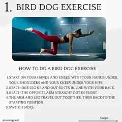 The Bird Dog is the first exercise in my back pain series. It is excellent for strengthening the core and improving stability in the lower back, which is essential for preventing pain and injury.