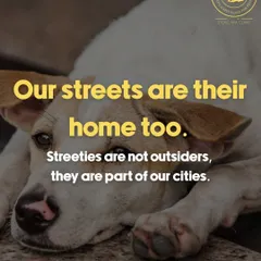 Our streets are their home too. This post was part of our campaign to raise awareness about the threat to community dogs. They are not outsiders, they are part of our cities.