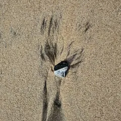 A minimalist composition found on the beach. The water dragging the black sand away from the stone created this beautiful, temporary pattern.