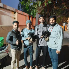 Another successful rehoming. These new owners are happy to be taking home their two German Shepherd puppies.