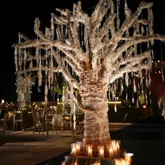 For a Sangeet night inspired by the Roaring '20s, we designed this magnificent crystal tree as a centerpiece. It shimmered under the desert sky in Jaisalmer, reflecting the glamour and unbridled revelry of the Gatsby era.
