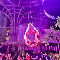 A moment of connection and balance with my partner on the duo hoop. These performances are a conversation in the air, relying on non-verbal cues and complete trust.