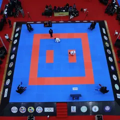 An aerial shot of a final match at our national championship. The single mat focus highlights the importance of the bout, with officials and judges positioned for perfect viewing.