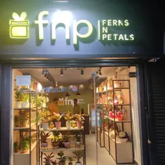 We designed this Ferns N Petals (FnP) retail outlet to be bright, welcoming, and functional. The design ensures products are the hero, with smart shelving and strategic lighting that makes browsing easy for customers and boosts sales.
