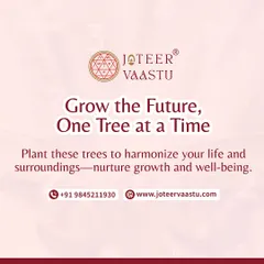 Grow the future, one tree at a time. Planting specific trees can help harmonize your life and surroundings, nurturing both personal growth and a sense of well-being.