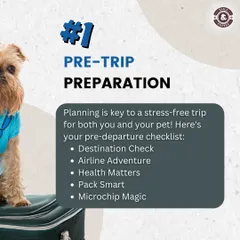 Planning a trip with your pet? Our pre-trip preparation checklist covers everything from destination checks and airline rules to health matters and microchips to ensure a stress-free journey.