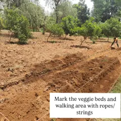 Next, I mark the layout of the veggie beds and walking paths using simple ropes or strings to ensure a well-organized and efficient garden design.
