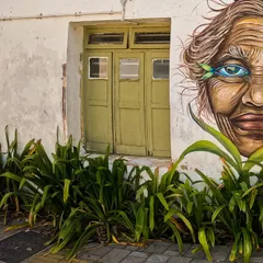A close-up of the fisherwoman's face. I wanted to capture the wisdom and resilience in her eyes, making them the focal point of the mural. The textures of the old wall and door add to the character of the artwork.